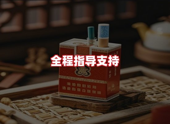 专业团队